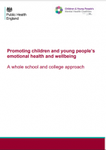 Promoting Children And Young People S Emotional Health And Wellbeing A Whole School And College Approach